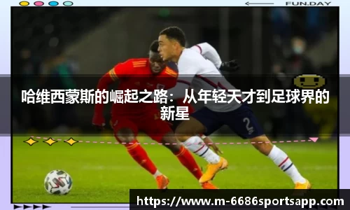 6686体育